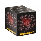 TXB462 - RED PEONY